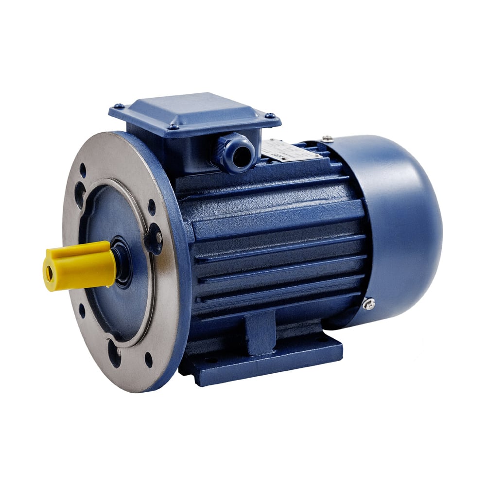 Электродвигатель ТМ БЭЗ