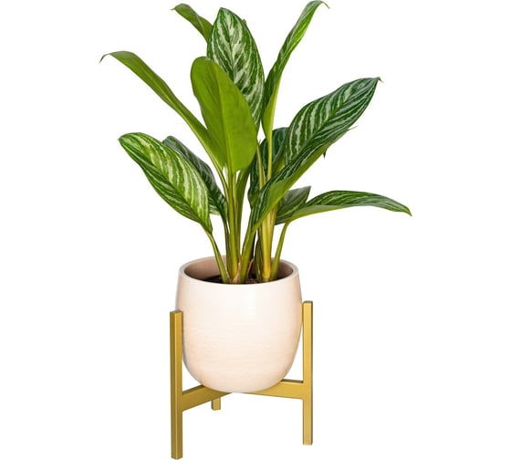 Изображение товара Подставка для цветов GreenWeen Trinity 25 золотая GW-T25G