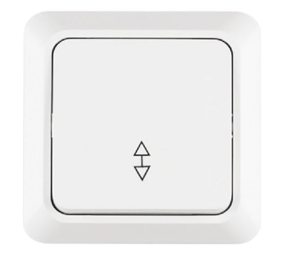 Изображение товара 1клавишный проходной выключатель TANGO белый открытой проводки 10А, 250В, 1007256