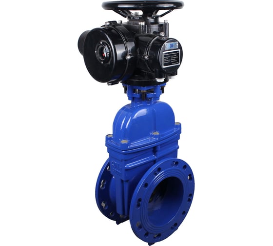 Изображение товара Задвижка клиновая DN.ru 30ч939р GGG50-GGG50-EPDM-BLUE Ду300 Ру10/16 фланцевая, c ОСТ-фланцем, эл.привод VGD-020 380В пятикулачковый D040-10570