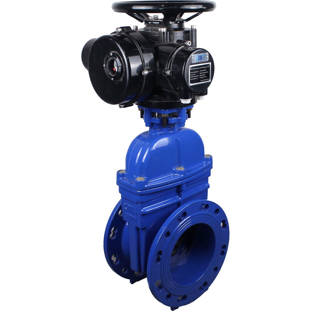 Изображение товара Задвижка клиновая DN.ru 30ч939р GGG50-GGG50-EPDM-BLUE Ду40 Ру10 16 бар электропривод