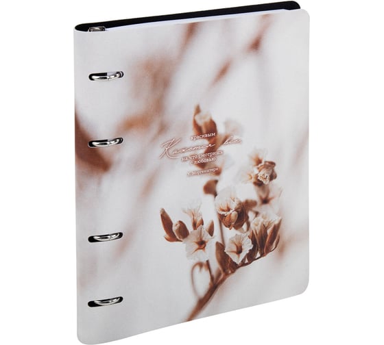 Изображение товара Бизнес-тетрадь на кольцах BRAUBERG VISTA, Elegant, А5, 175х215мм, 120л, под кожу, 405211