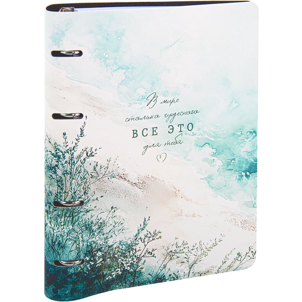 Изображение товара Бизнес-тетрадь на кольцах BRAUBERG VISTA А5 120 листов зелёная