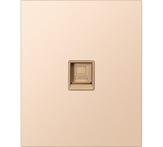 Изображение товара Розетка компьютерная SMARTBUY RJ-45 модульная 10А шампань акрил Альтаир SBE-m11ia-S1-RJ