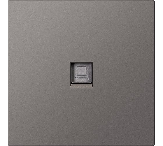 Изображение товара Розетка компьютерная SMARTBUY RJ-45 независимая 10А графит Альтаир SBE-i11g-S1-RJ