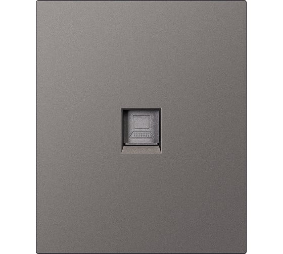 Изображение товара Розетка компьютерная SMARTBUY RJ-45 модульная 10А графит Альтаир SBE-m11g-S1-RJ