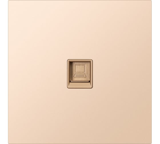 Изображение товара Розетка компьютерная SMARTBUY RJ-45 независимая 10А шампань акрил Альтаир SBE-i11ia-S1-RJ