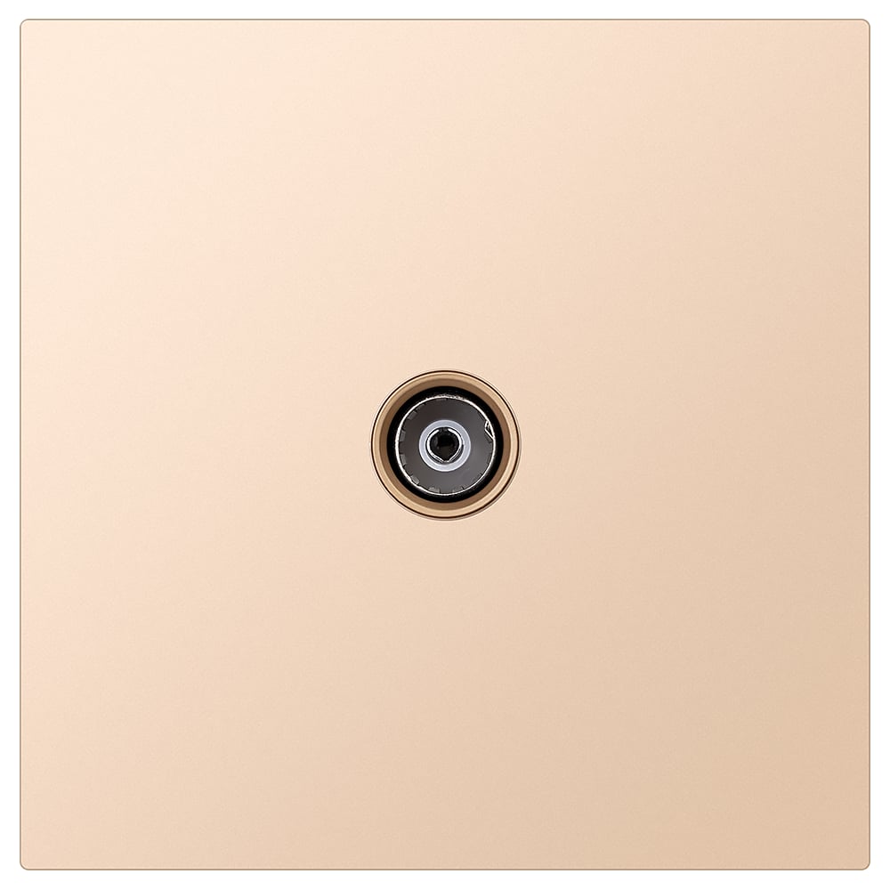 Изображение товара Розетка телевизионная SMARTBUY 1-местная 75 Ом IP20 шампань встраиваемая