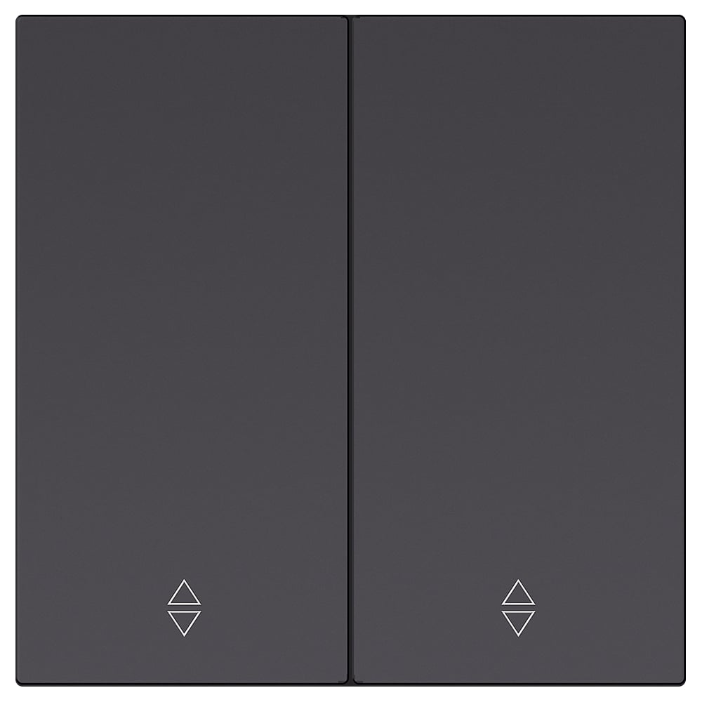 Изображение товара Выключатель проходной 2-клавишный SMARTBUY Альтаир черный 10А