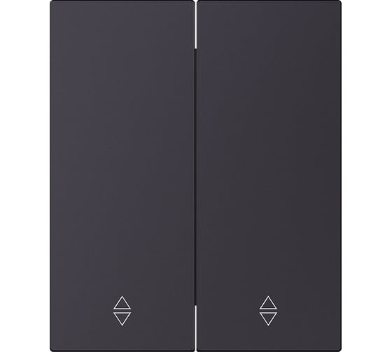 Изображение товара Выключатель проходной 2-клавишный SMARTBUY модульный 10А черный акрил Альтаир SBE-m11ba-10-SW22-0