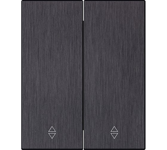 Изображение товара Выключатель проходной 2-клавишный SMARTBUY модульный 10А алюминий черный Альтаир SBE-m11alb-10-SW22-0