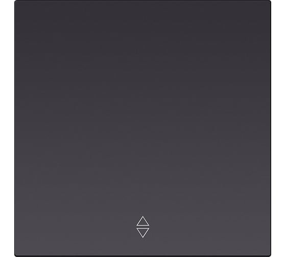 Изображение товара Выключатель проходной 1-клавишный SMARTBUY независимый 10А черный Альтаир SBE-i11b-10-SW12-0