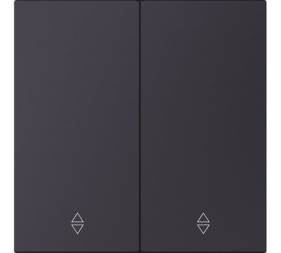 Изображение товара Выключатель проходной 2-клавишный SMARTBUY независимый 10А черный акрил Альтаир SBE-i11ba-10-SW22-0