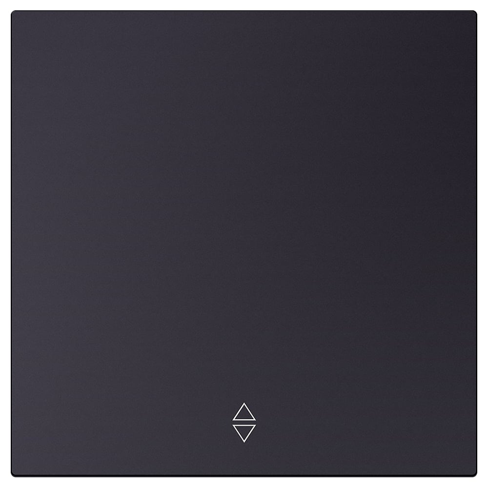 Изображение товара Выключатель проходной 1-клавишный SMARTBUY независимый 10А черный