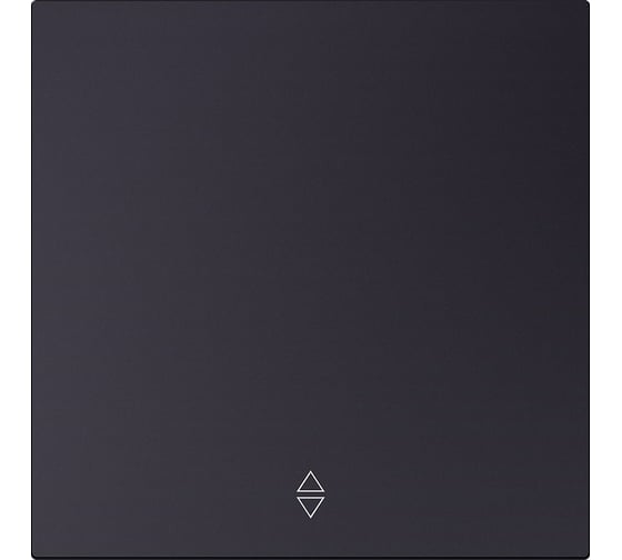 Изображение товара Выключатель проходной 1-клавишный SMARTBUY независимый 10А черный акрил Альтаир SBE-i11ba-10-SW12-0