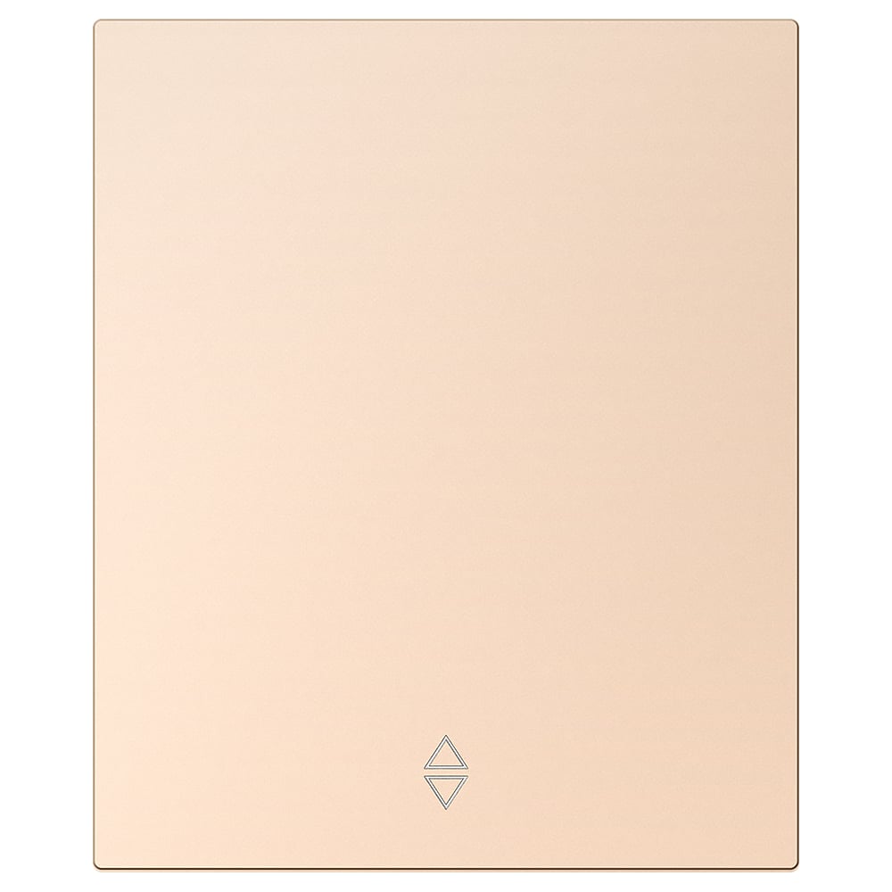 Изображение товара Выключатель проходной 1-клавишный SMARTBUY шампань модульный 10А