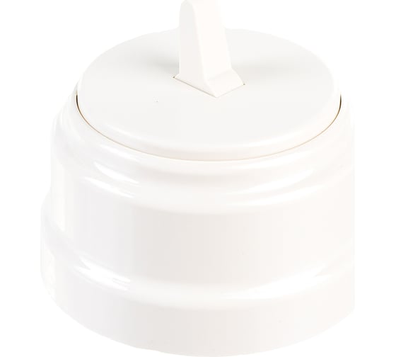 Изображение товара 1-клавишный тумблерный выключатель Bylectrica 10А открытой установки, серия РЕТРО, бежевый, А110-2203 бежевый