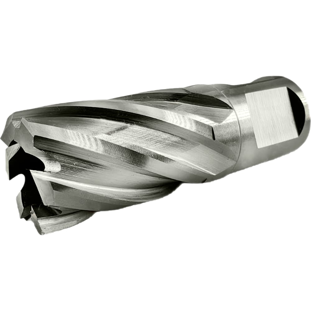 Π‘Π²Π΅ΡΠ»ΠΎ ΠΊΠΎΡΠΎΠ½ΡΠ°ΡΠΎΠ΅ TIGER Cut Weldon 19 20Ρ
30 ΠΌΠΌ HSS 4012030