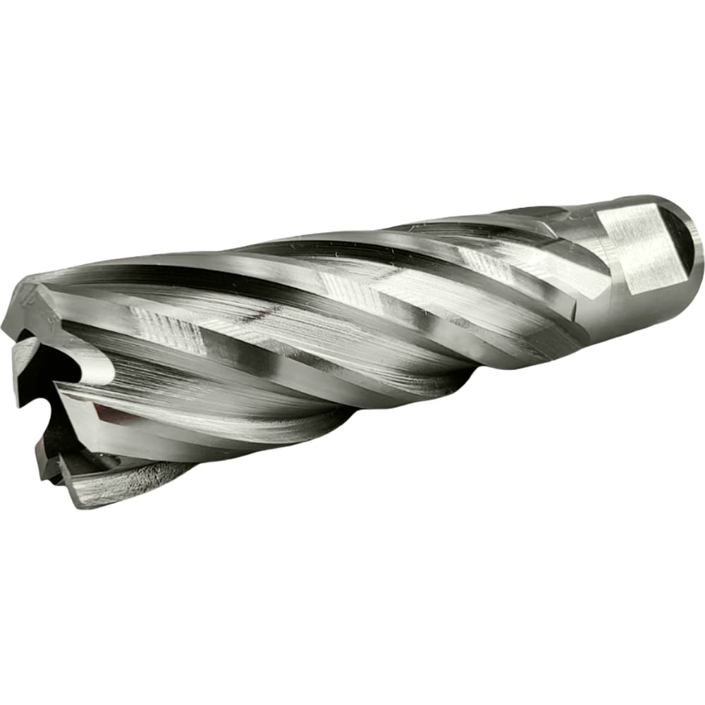 Сверло корончатое TIGER Cut Weldon 19 20х55 мм HSS 4012055