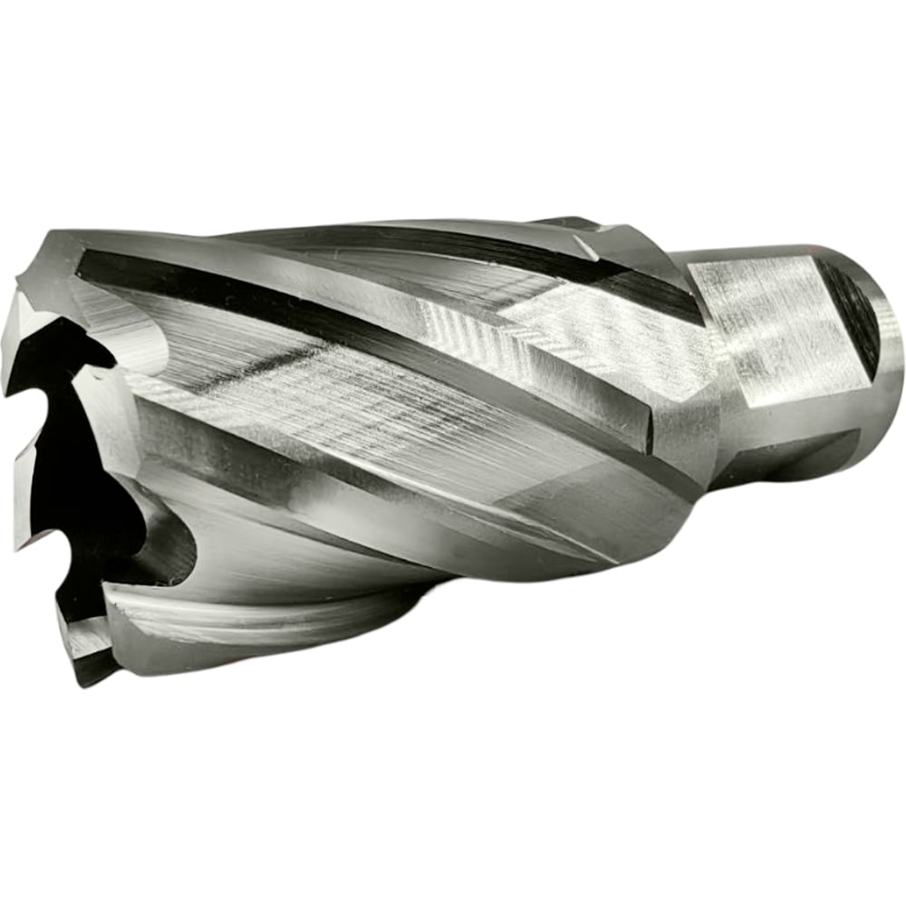 Сверло корончатое TIGER Cut Weldon 19 25х30 мм HSS 4012530