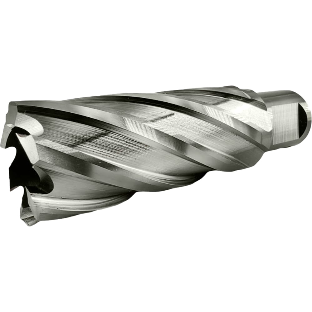 Сверло корончатое TIGER Cut Weldon 19 25х55 мм HSS 4012555