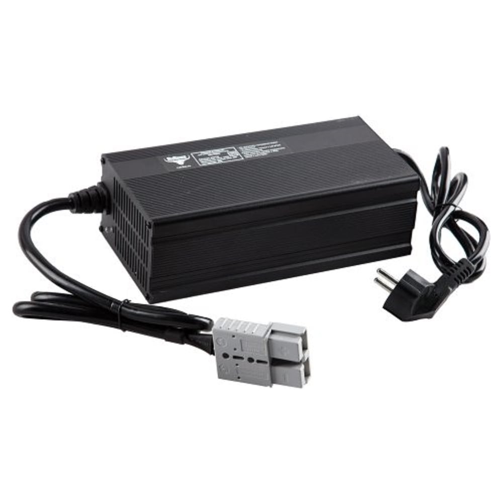 Изображение товара Зарядное устройство для LiFePo4 аккумуляторов Rutrike 60 В 100 А·ч 025132