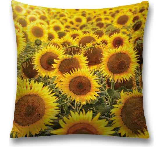 Изображение товара Декоративная наволочка JoyArty sl_105983