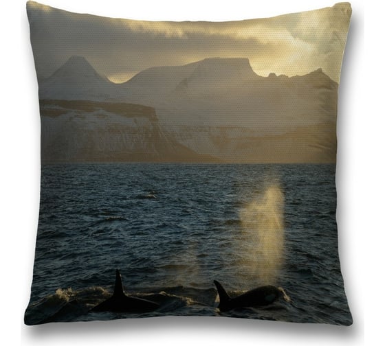 Изображение товара Декоративная наволочка JoyArty sl_11892