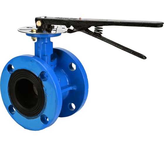 Изображение товара Затвор дисковый DN.ru GGG40-GGG40-EPDM-2W-F-R Ду250 Ру16 фланцевый, с редуктором, с ISO-фланцем F10, квадрат штока 22х22 D050-87897