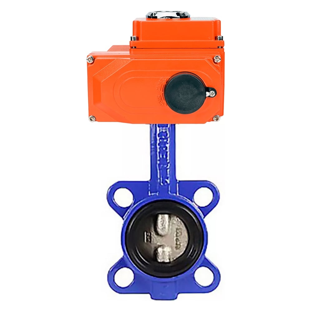 Затвор дисковый DN.ru GGG50-316L-EPDM Ду50 Ру16, электропривод QT2-003-220VAC D050-87834