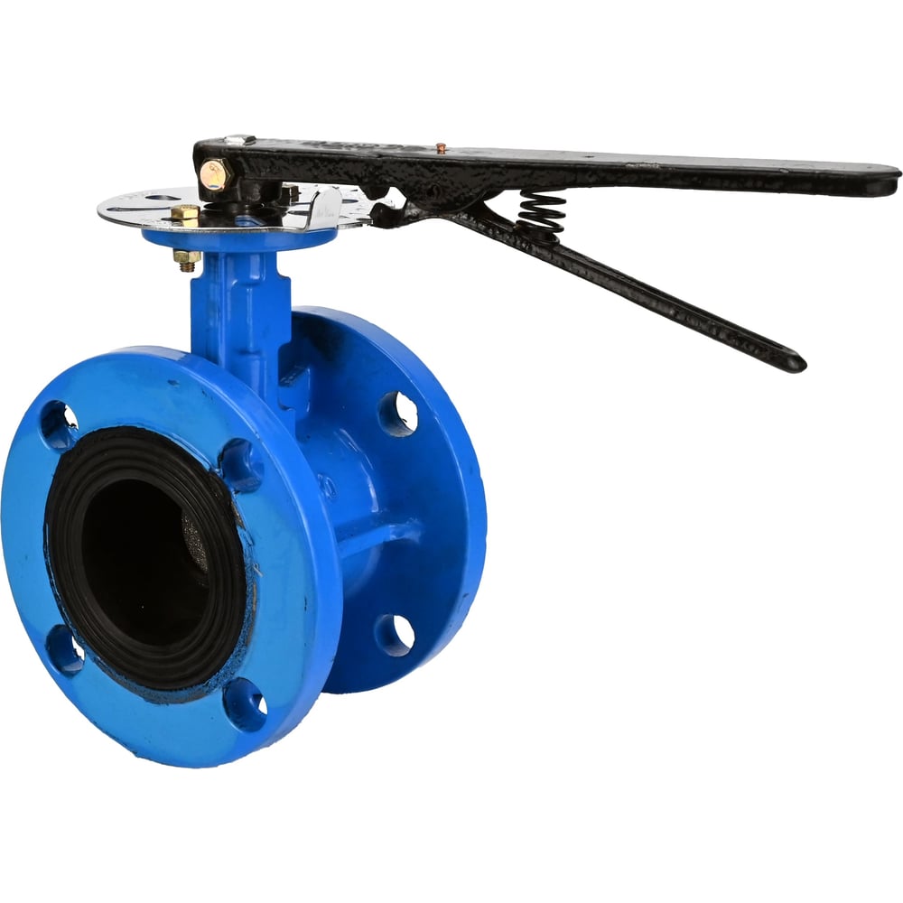 Изображение товара Затвор дисковый DN.ru GGG40-GGG40-EPDM-2W-F-R Ду300 Ру16 с редуктором и ISO-фланцем