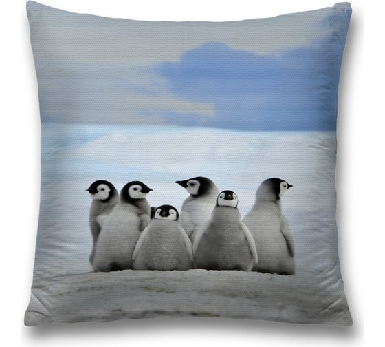 Изображение товара Декоративная наволочка JoyArty sl_11889