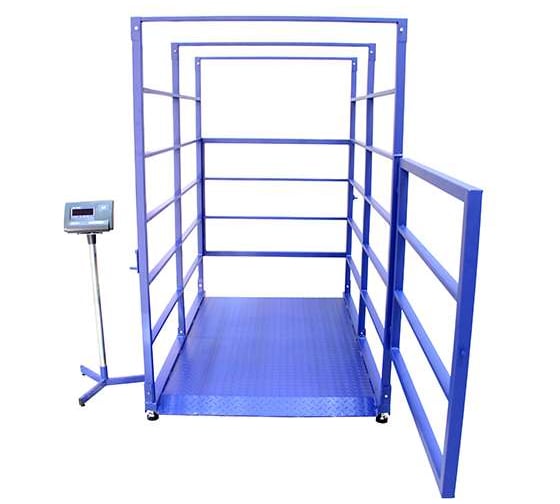 Изображение товара Весы Middle МП 2000 ВЕДА Ф-1 (500/1000; 2000х1200) Живой вес 04 1141000300