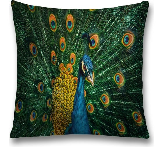 Изображение товара Декоративная наволочка JoyArty sl_12583