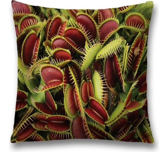 Изображение товара Декоративная наволочка JoyArty sl_22088