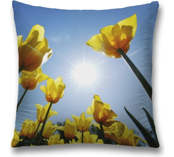 Изображение товара Декоративная наволочка JoyArty sl_34765