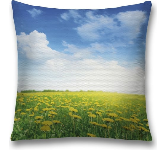 Изображение товара Декоративная наволочка JoyArty sl_34763