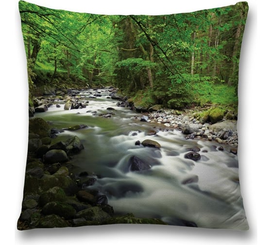 Изображение товара Декоративная наволочка JoyArty sl_16193