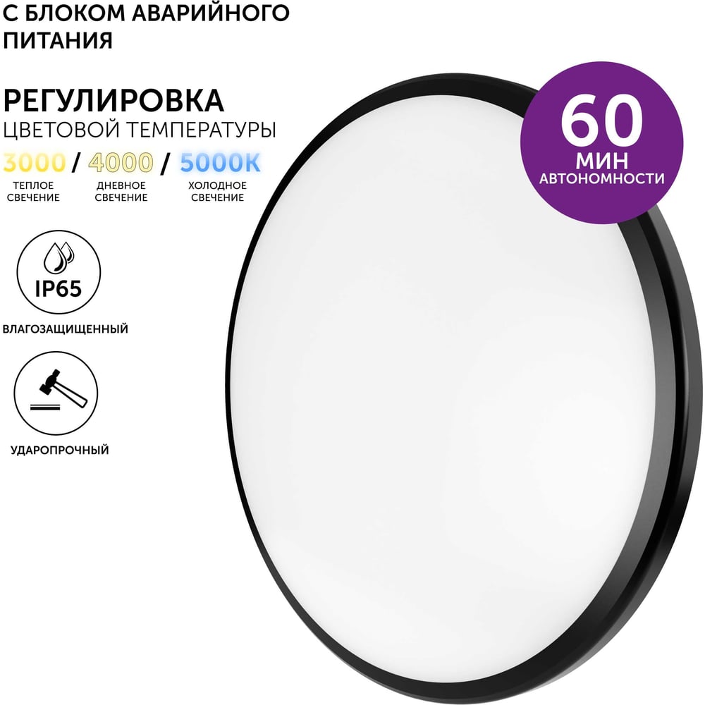 Изображение товара Светодиодный потолочный светильник Orbita с аварийным питанием 24 Вт IP65 черный