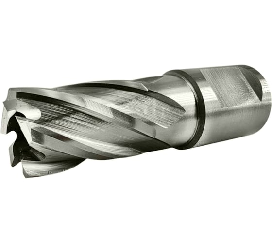 Изображение товара Сверло корончатое TIGER Cut Weldon 19 17х30 мм HSS 4011730