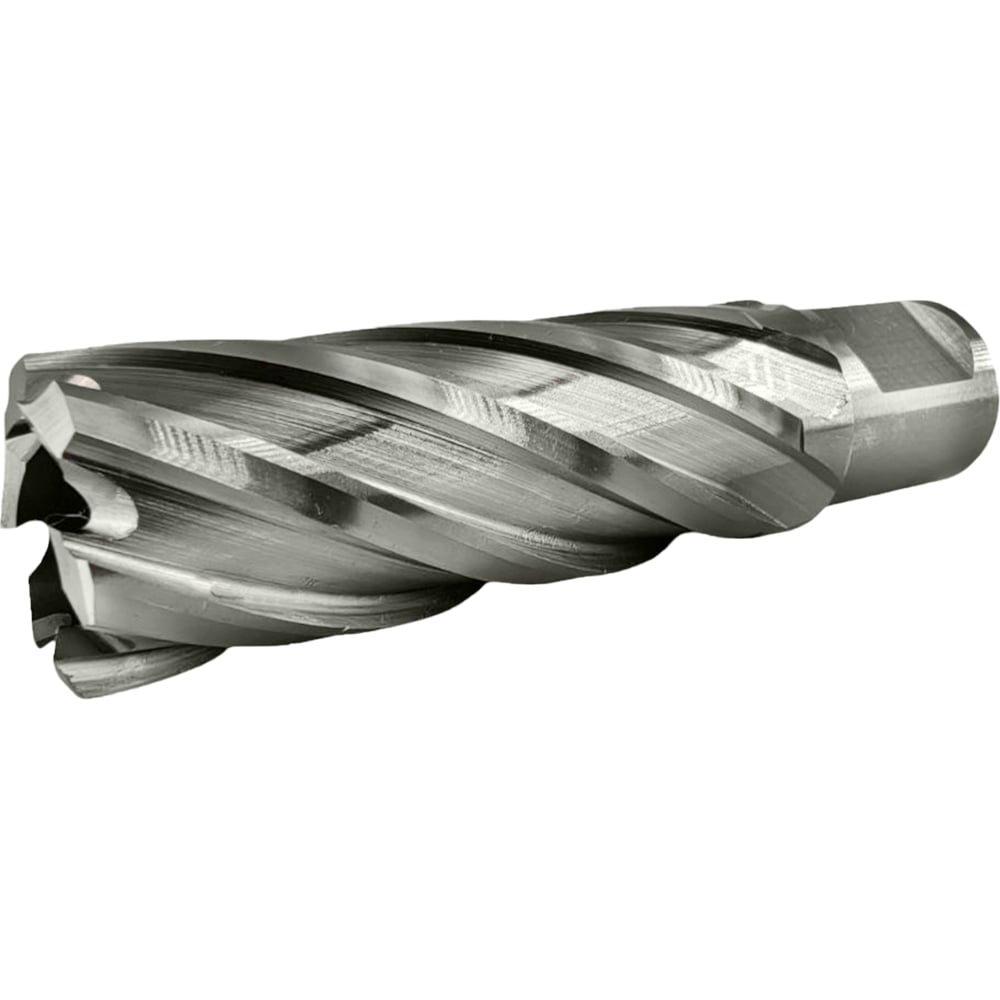 Сверло корончатое TIGER Cut Weldon 19 22х55 мм HSS 4012255