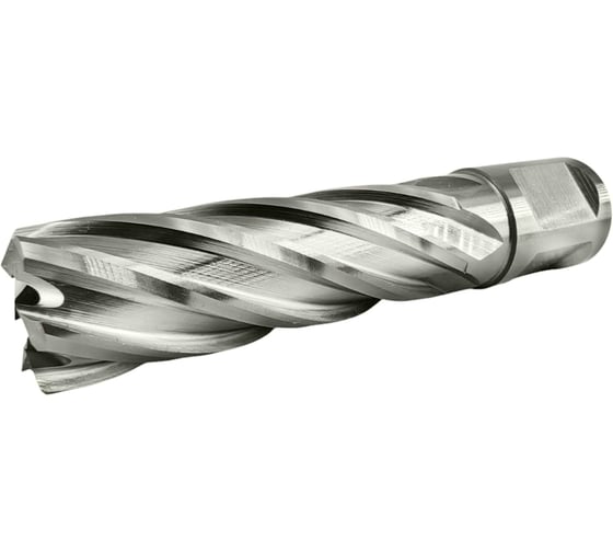 Изображение товара Сверло корончатое TIGER Cut Weldon 19 18х55 мм HSS 4011855