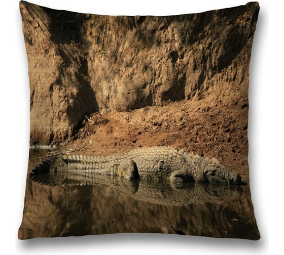 Изображение товара Декоративная наволочка JoyArty sl_21726