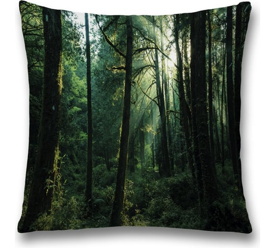 Изображение товара Декоративная наволочка JoyArty sl_32353