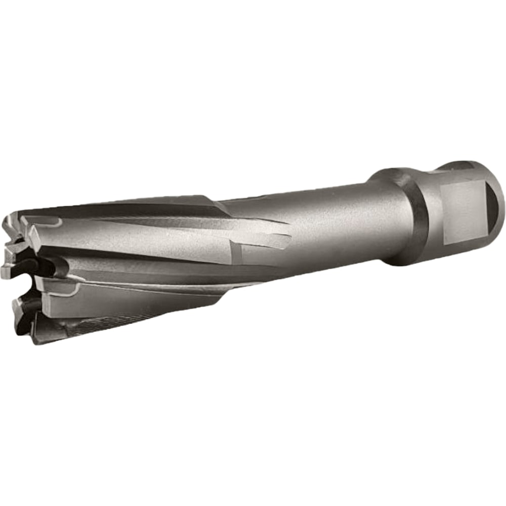Сверло корончатое TIGER Cut Weldon 19 19х55 мм TCT 5011955