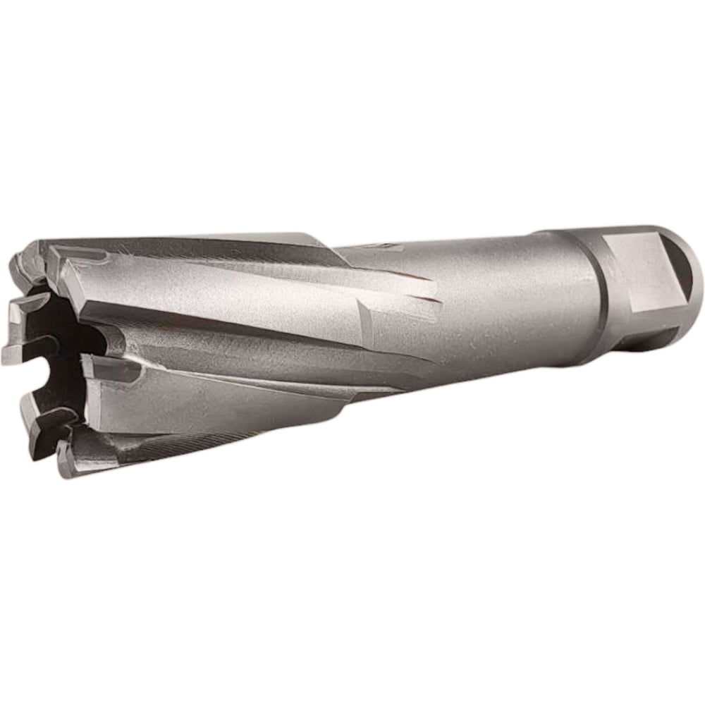 Π‘Π²Π΅ΡΠ»ΠΎ ΠΊΠΎΡΠΎΠ½ΡΠ°ΡΠΎΠ΅ TIGER Cut Weldon 19 25Ρ
55 ΠΌΠΌ TCT 5012555