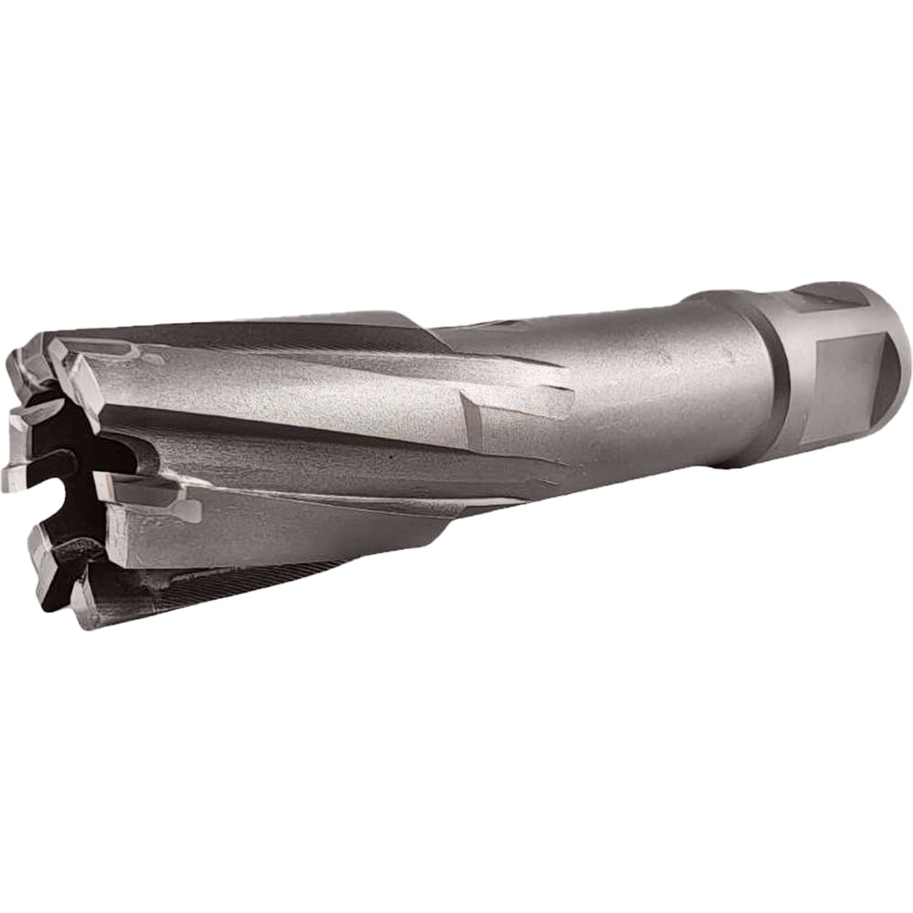 Π‘Π²Π΅ΡΠ»ΠΎ ΠΊΠΎΡΠΎΠ½ΡΠ°ΡΠΎΠ΅ TIGER Cut Weldon 19 21Ρ
55 ΠΌΠΌ TCT 5012155