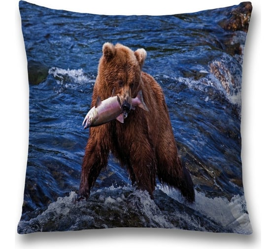 Изображение товара Декоративная наволочка JoyArty sl_21744