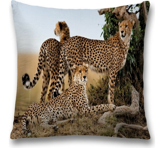 Изображение товара Декоративная наволочка JoyArty sl_21745