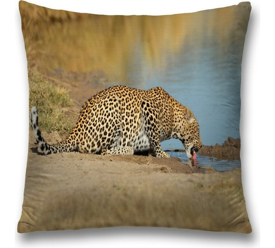 Изображение товара Декоративная наволочка JoyArty sl_16490